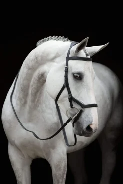 Discount Rambo Micklem Competition Bridle Bridles & Nosebands