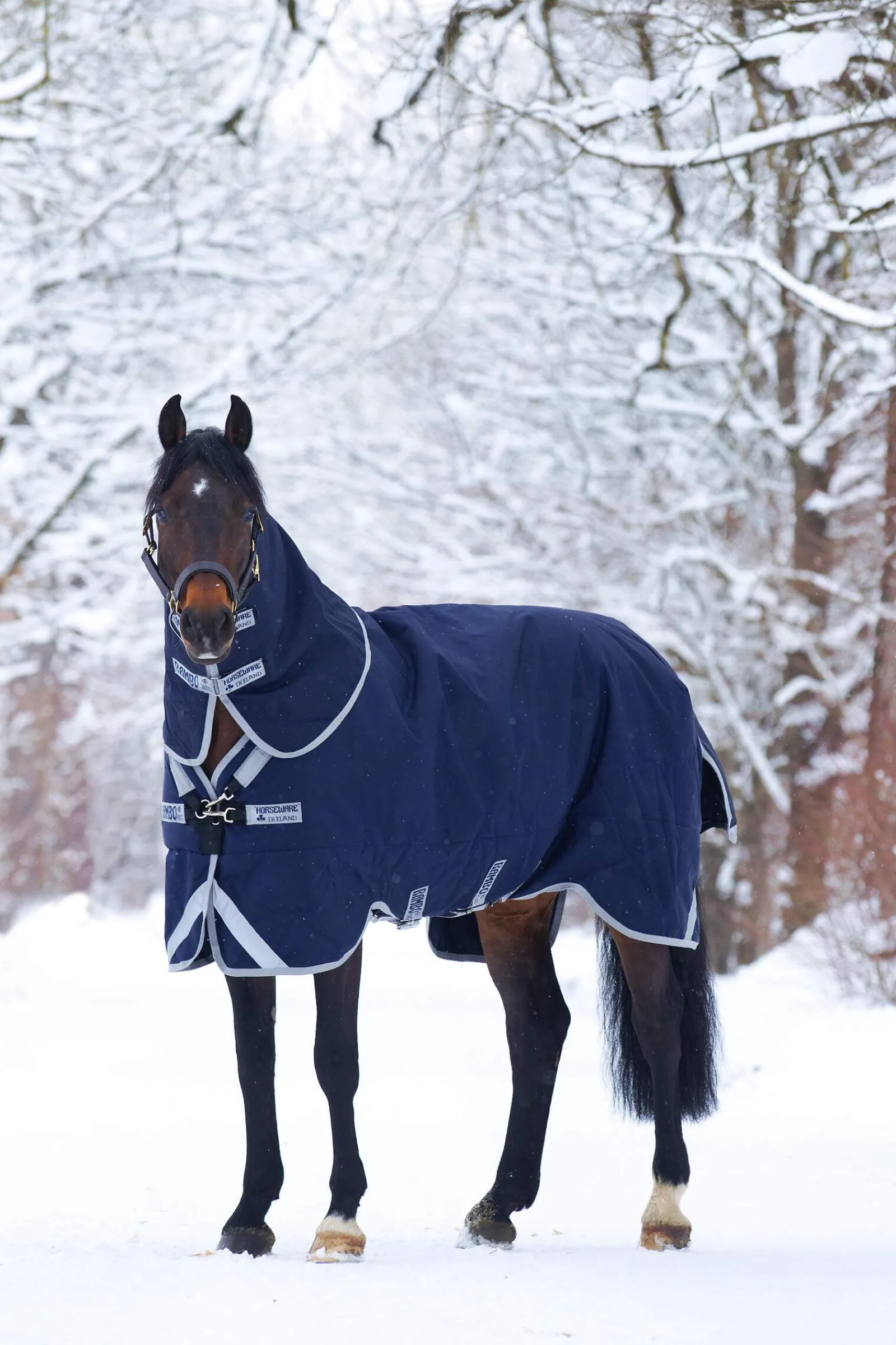 Hot Rambo Original Turnout with Leg Arches, 200g Medium & Heavyweight Turnout Rugs