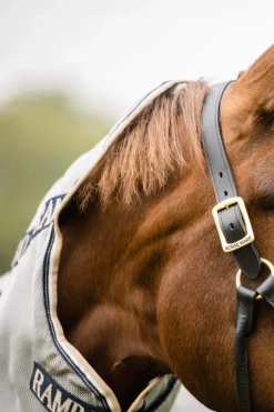 New Rambo Protector Fly Rug With Detachable Neck Fly Rugs|Fly Rugs