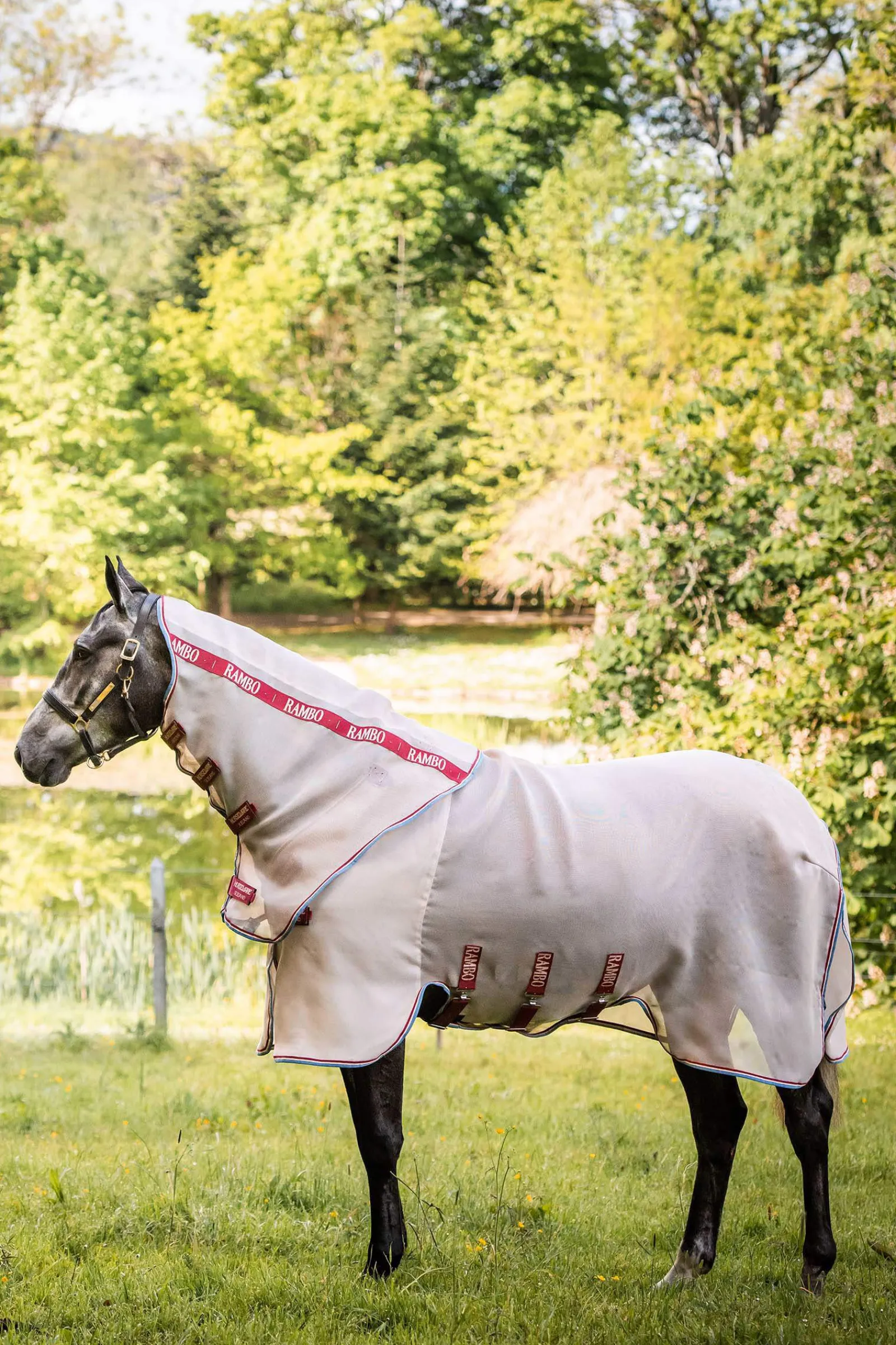 Discount Rambo Protector Fly Rug With Detachable Neck and Disc Front Fly Rugs|Fly Rugs