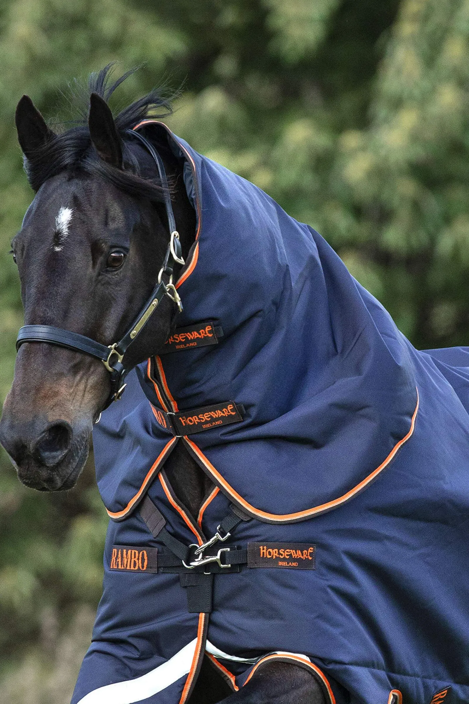 Fashion Rambo Supreme Hood, 50g Horse Hoods