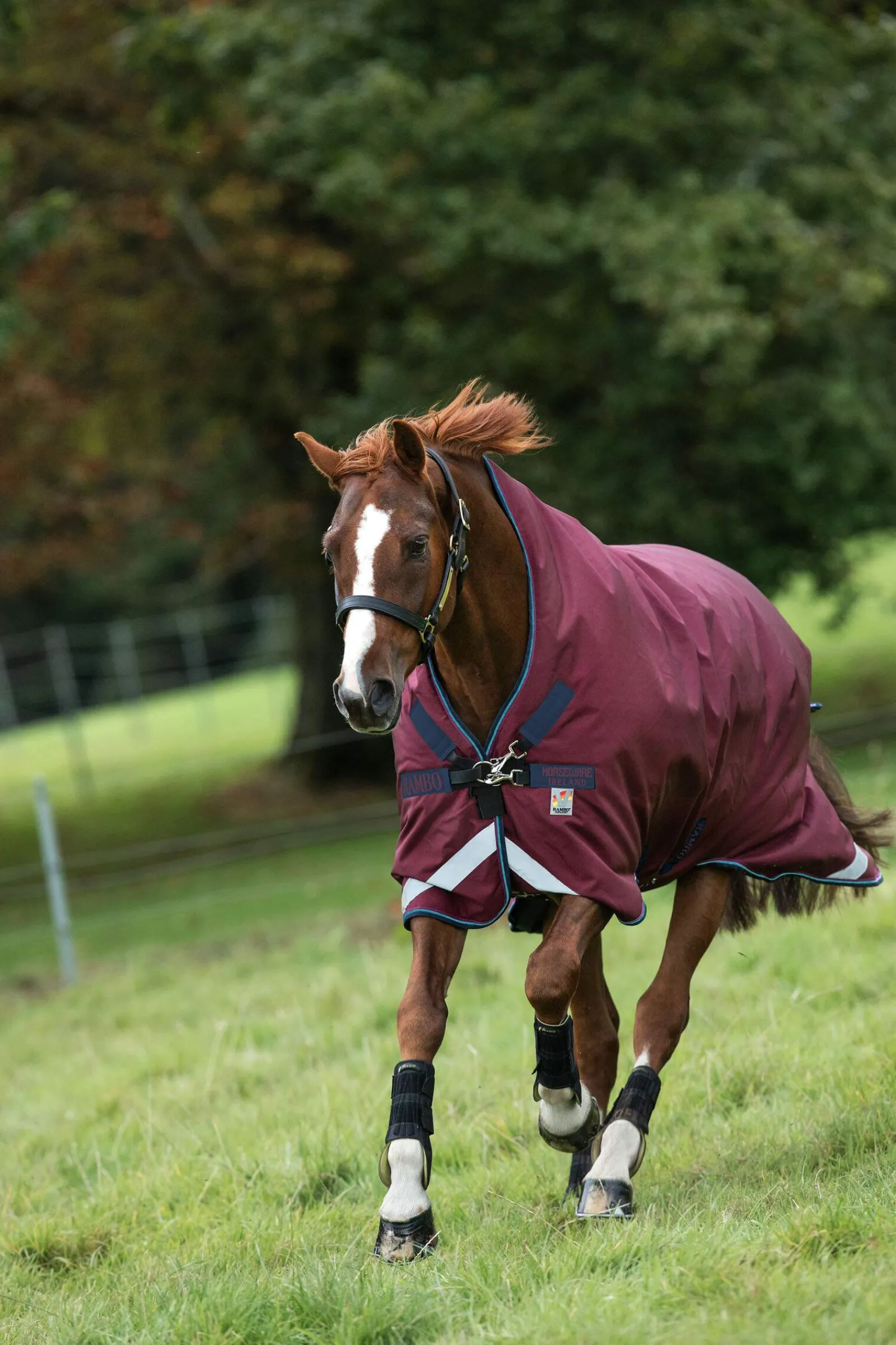 Discount Rambo Wug Turnout, 200g Medium & Heavyweight Turnout Rugs