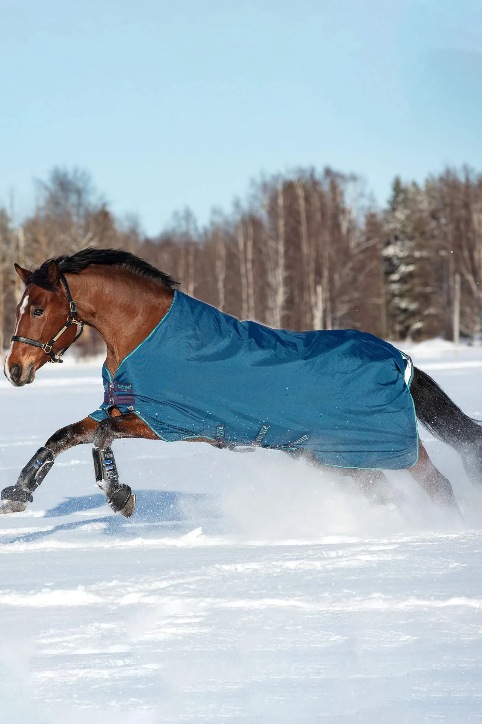 Clearance Rhino Original Vari-Layer Turnout Rug, 250g Medium & Heavyweight Turnout Rugs
