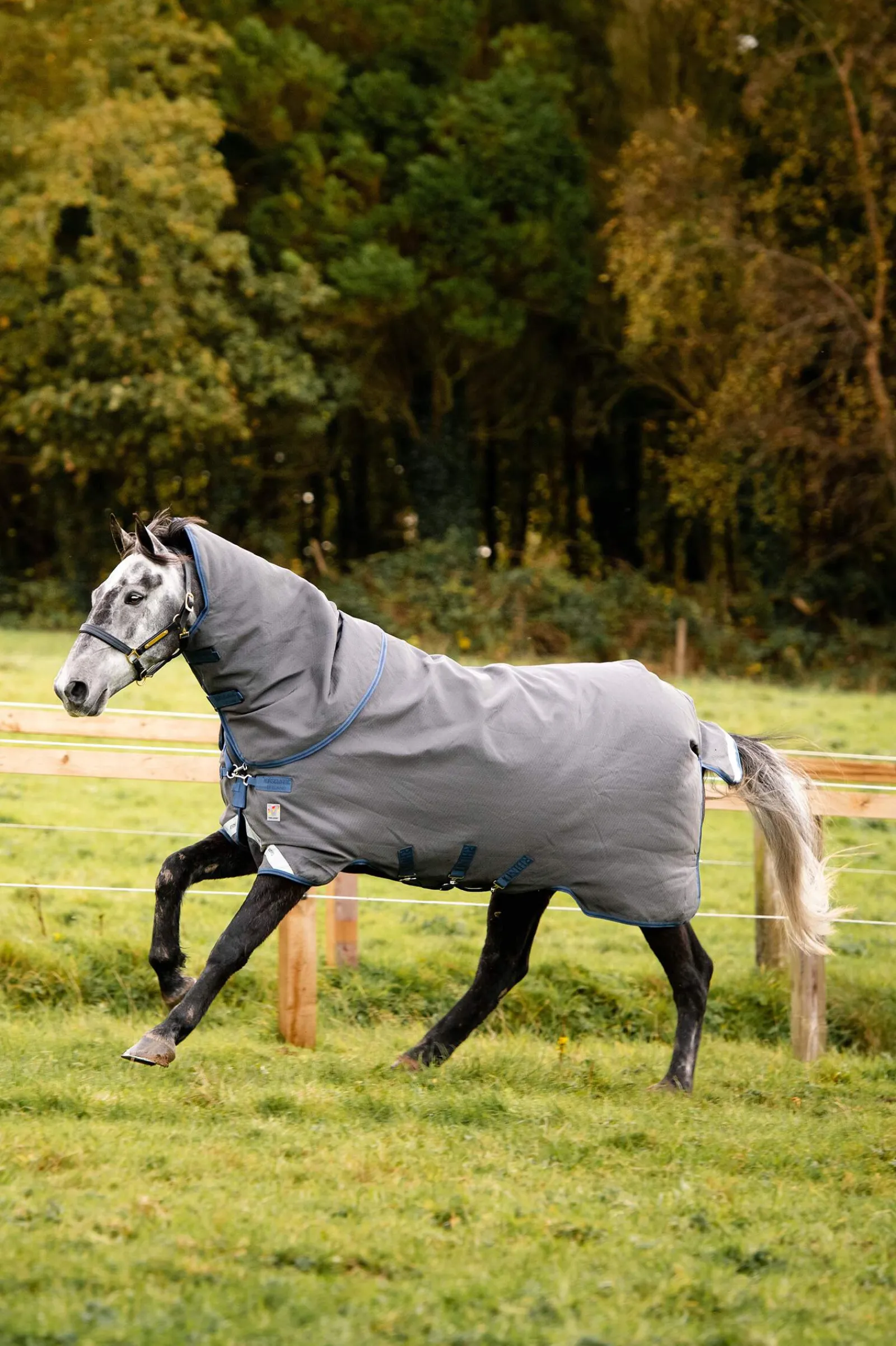 Fashion Rhino Plus HexSTOP Vari-Layer, 100g Lightweight Turnout Rugs