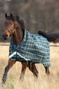 Sale Rhino Wug Turnout 100g Lightweight Turnout Rugs