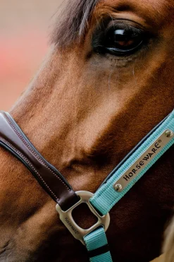 Discount Signature Competition Headcollar Headcollars & Halters