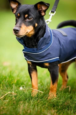 Best Signature Dog Rain Coat Dog Rugs & Coats