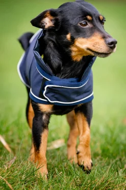 Best Signature Dog Rain Coat Dog Rugs & Coats