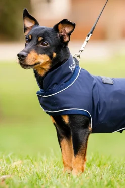 Best Signature Dog Rain Coat Dog Rugs & Coats