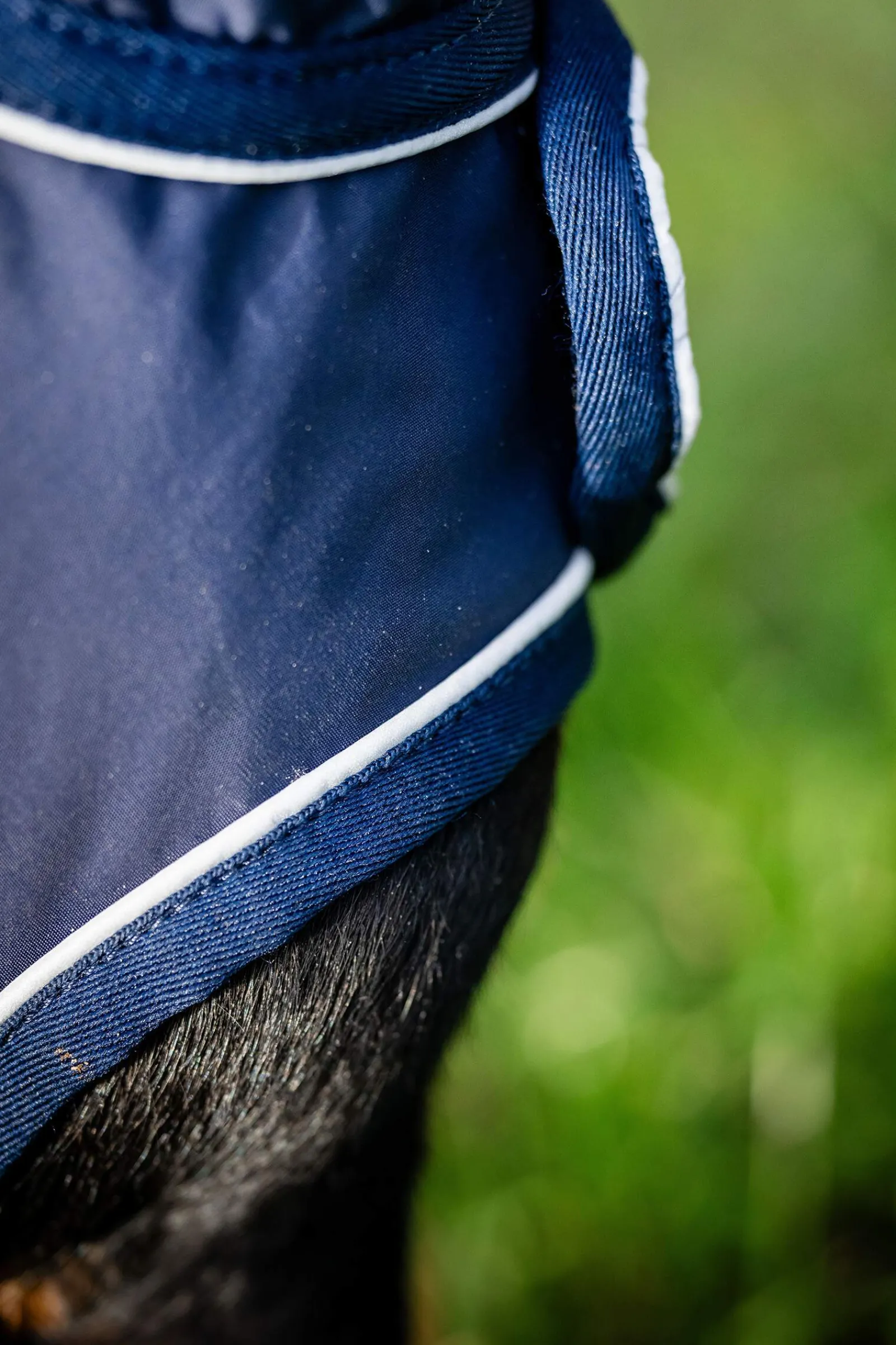 Best Signature Dog Rain Coat Dog Rugs & Coats