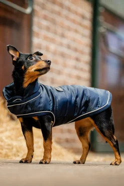 New Signature Dog Rug Dog Rugs & Coats