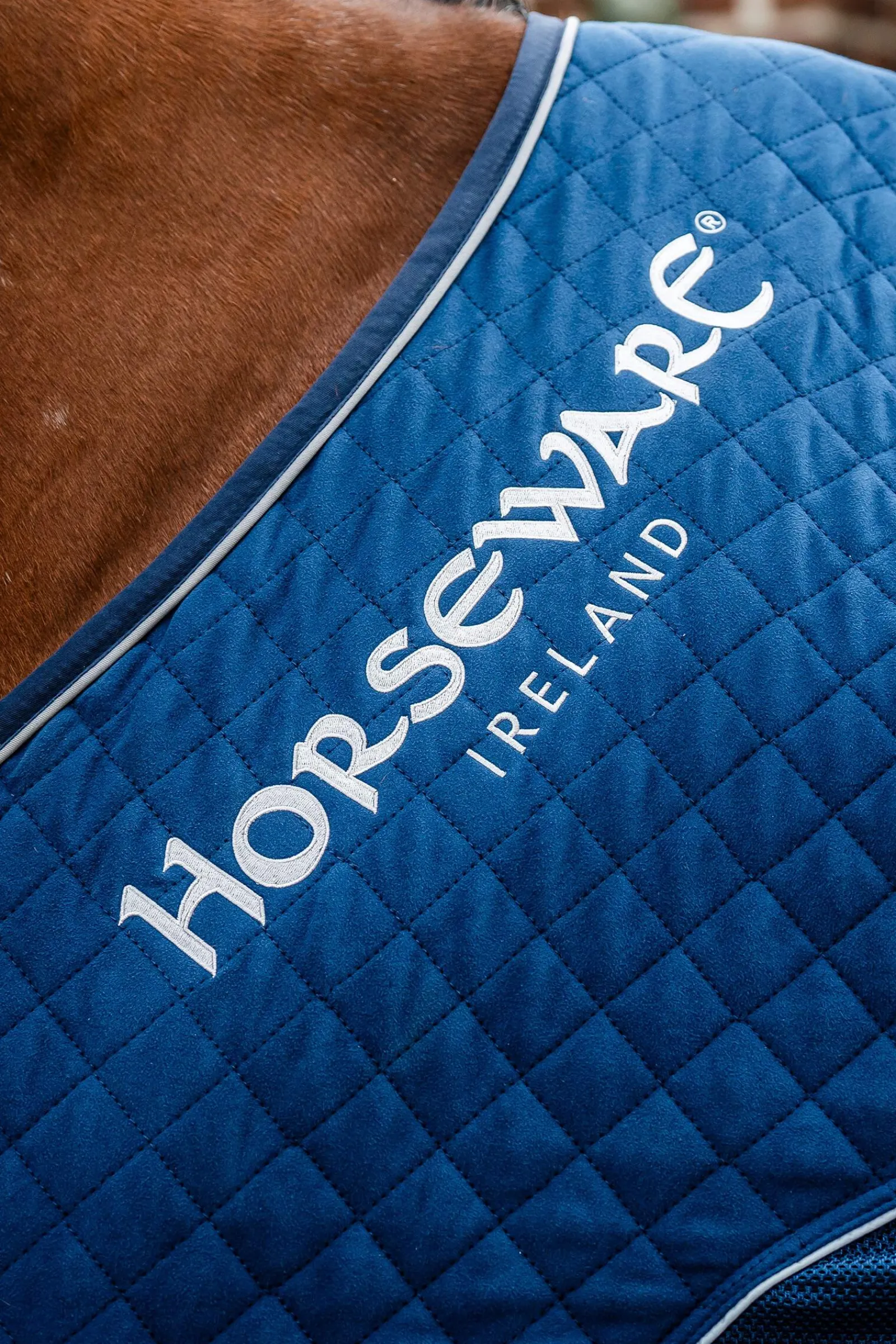 Best Signature Series Travel Rug, 50g Fleece Horse Rugs & Cooler Rugs