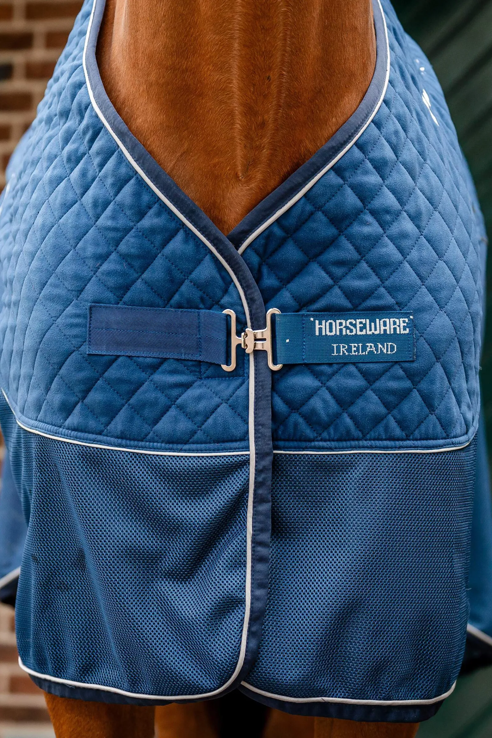 Best Signature Series Travel Rug, 50g Fleece Horse Rugs & Cooler Rugs