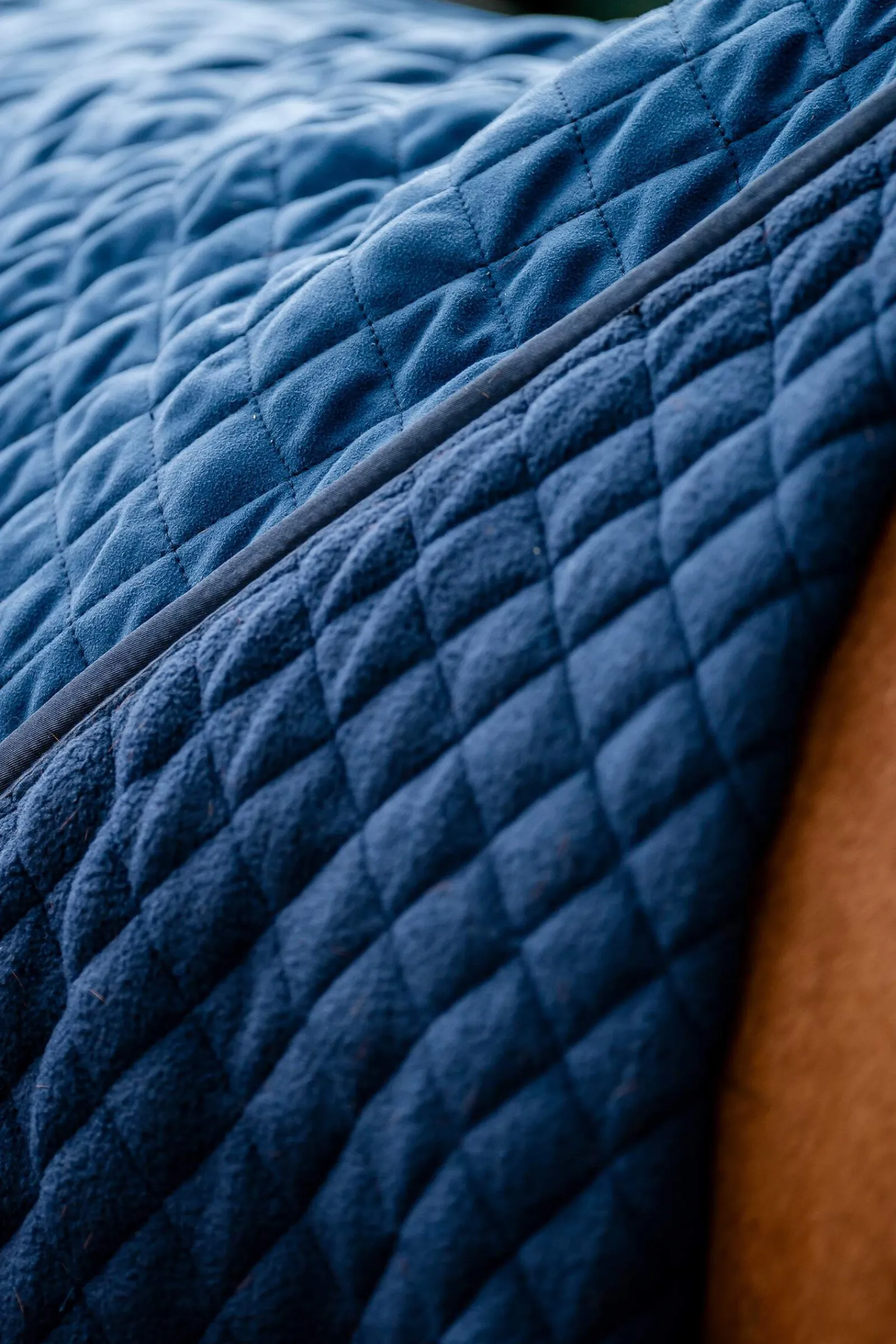 Best Signature Series Travel Rug, 50g Fleece Horse Rugs & Cooler Rugs