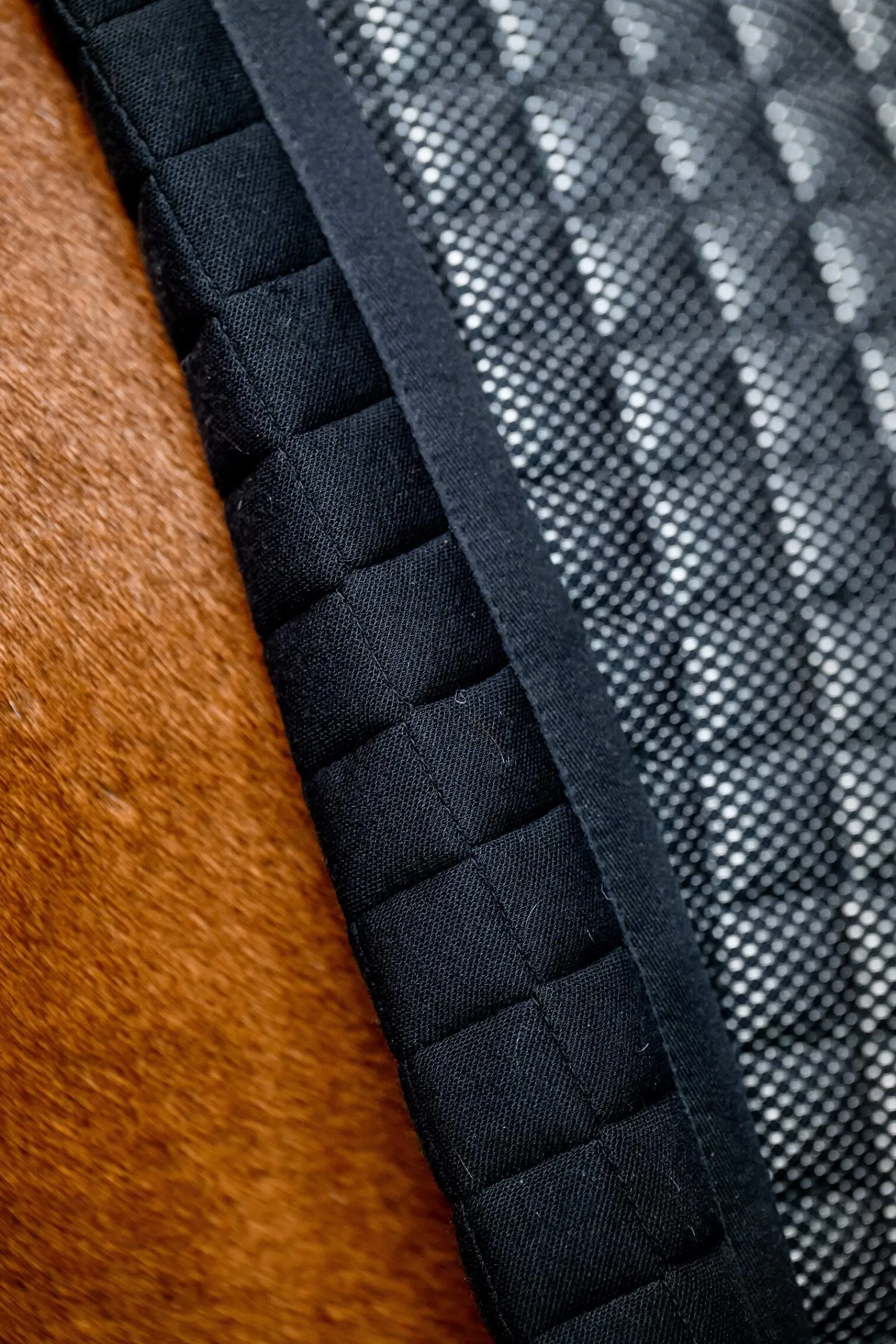 Online Tech Comfort Dressage Saddle Pad Dressage Saddle Pads