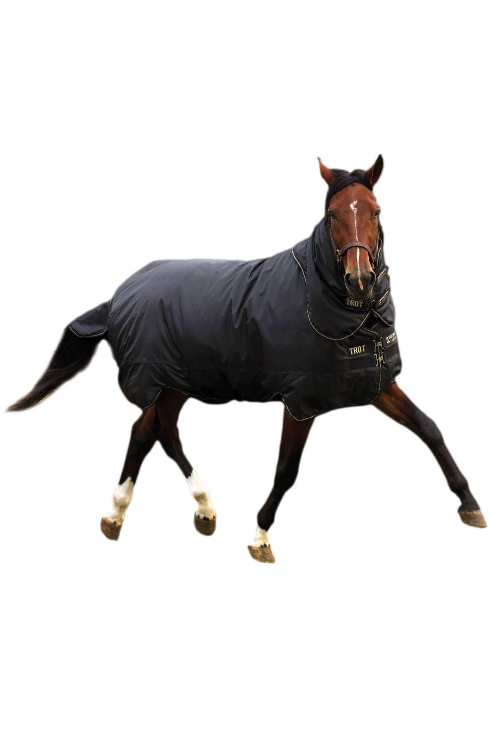 Best Trot Plus Turnout Rug With Detachable Neck, 350g Medium & Heavyweight Turnout Rugs