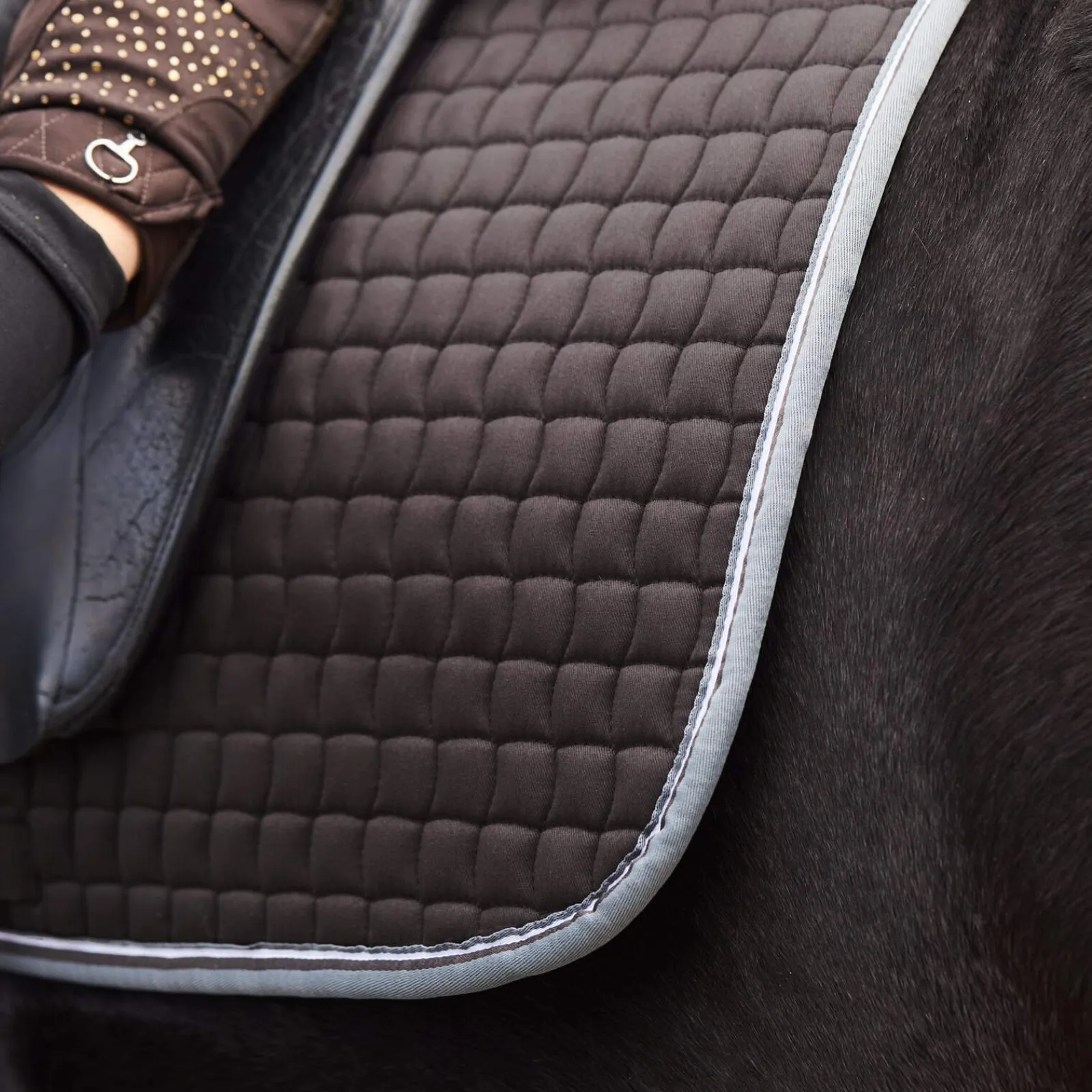 Online Adepto All Purpose Saddle Pad Pony Saddle Pads|All Purpose & Jumping Saddle Pads