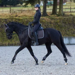 Online Adepto All Purpose Saddle Pad Pony Saddle Pads|All Purpose & Jumping Saddle Pads