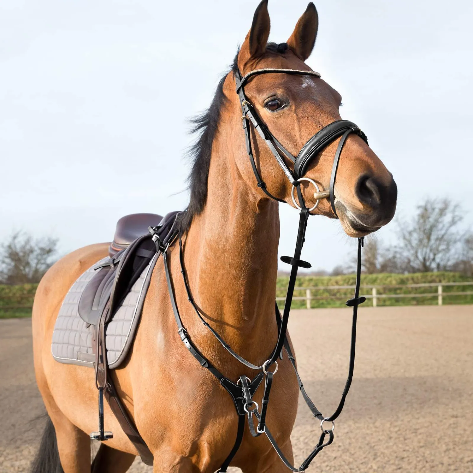 Discount Adjustable Hunting Breastplate Breastplates