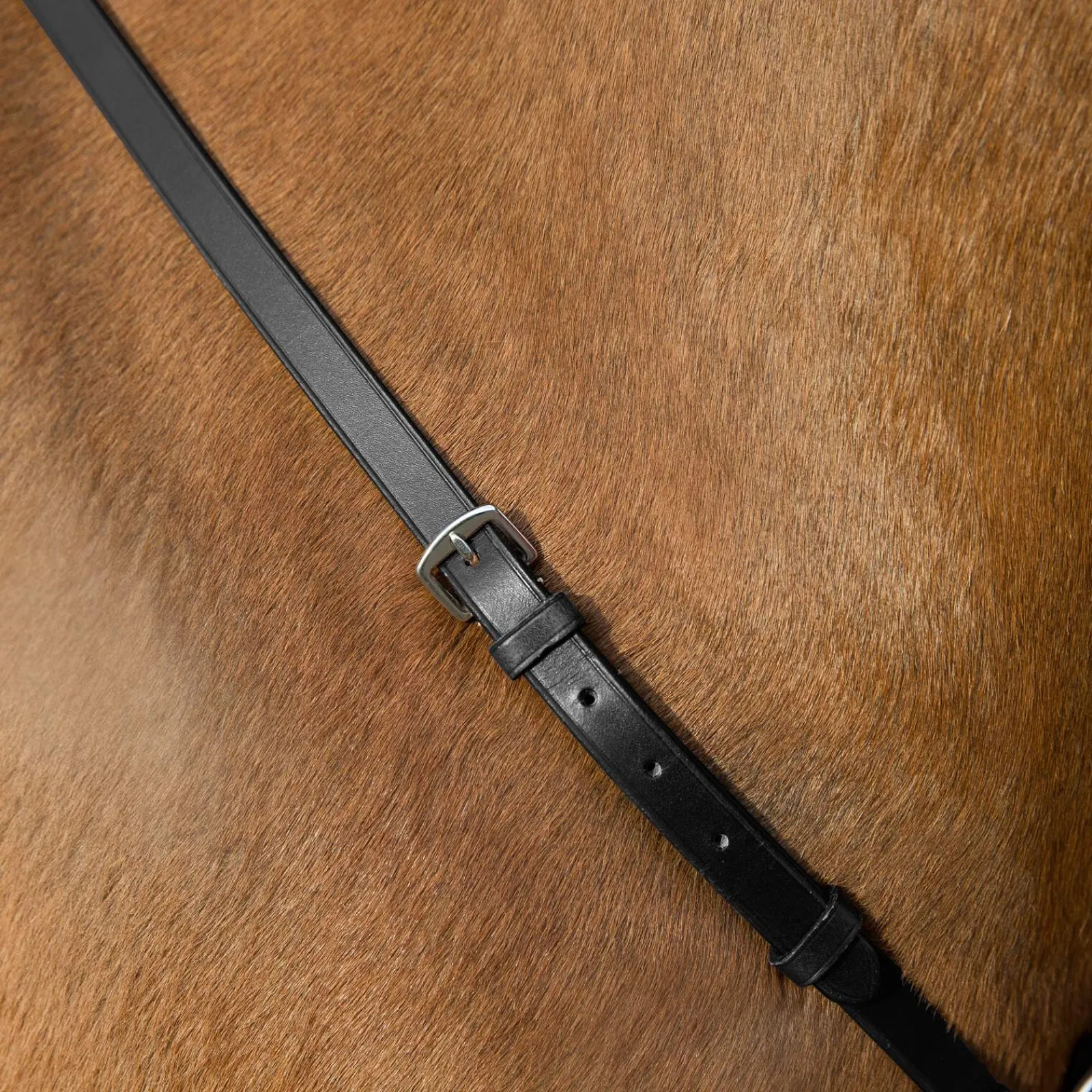 Discount Adjustable Hunting Breastplate Breastplates