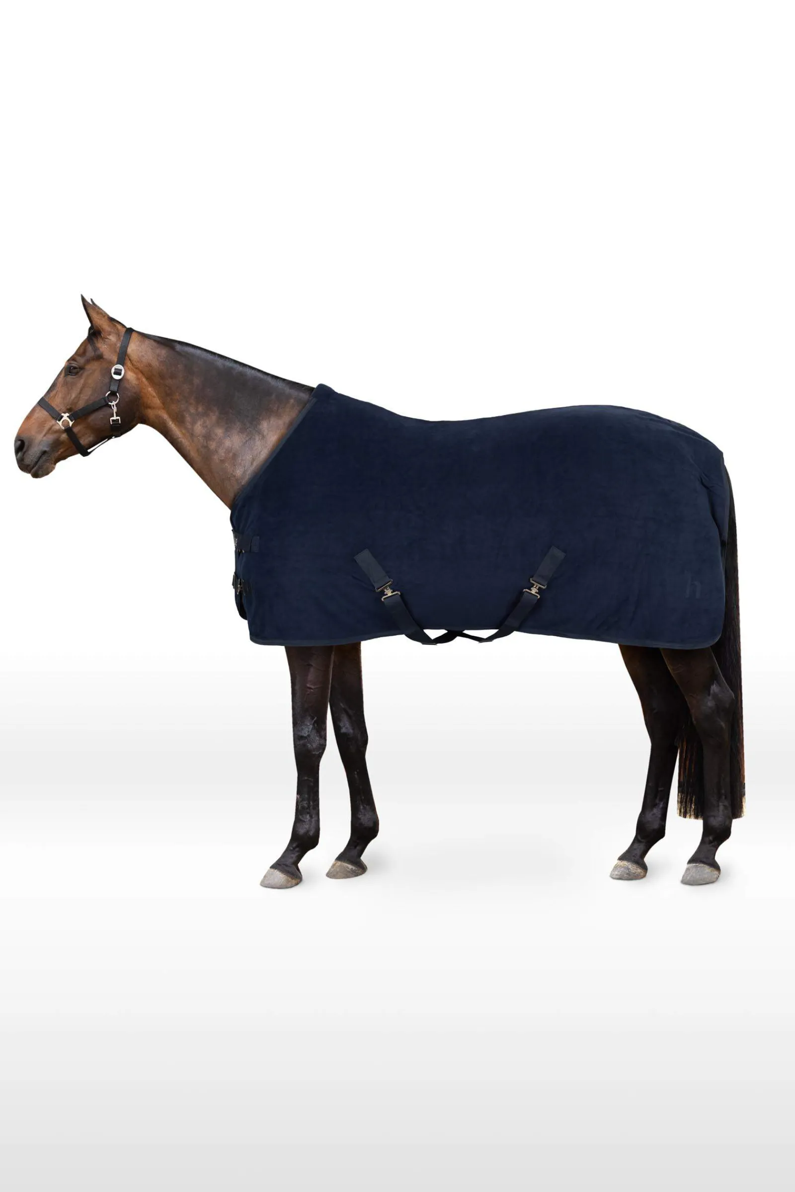 Outlet Avalanche Fleece Cooler Fleece Horse Rugs & Cooler Rugs