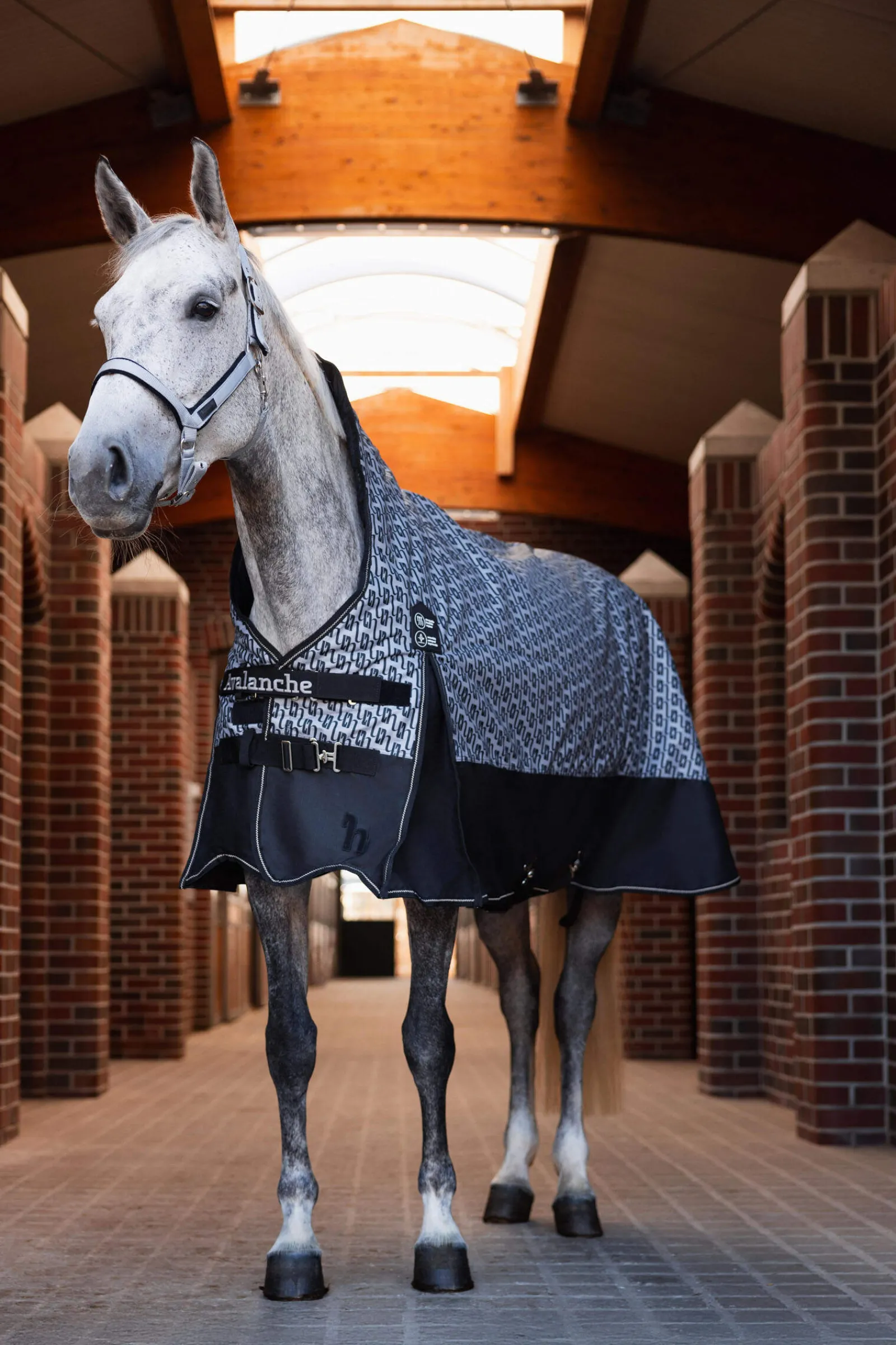 Clearance Avalanche Mid Season Rug 150g Lightweight Turnout Rugs