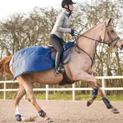 Online Avalanche Riding Rug, 250g Exercise Sheets & Quarter Sheets
