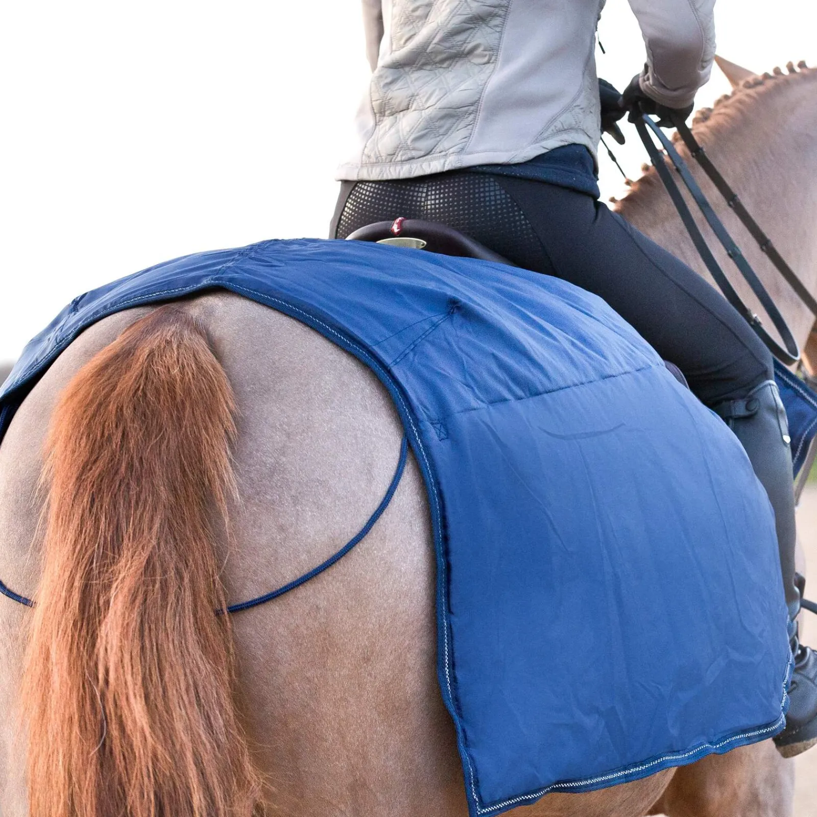 Online Avalanche Riding Rug, 250g Exercise Sheets & Quarter Sheets