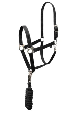 Clearance Basic Halter & Panic Hook Lead Headcollars & Halters