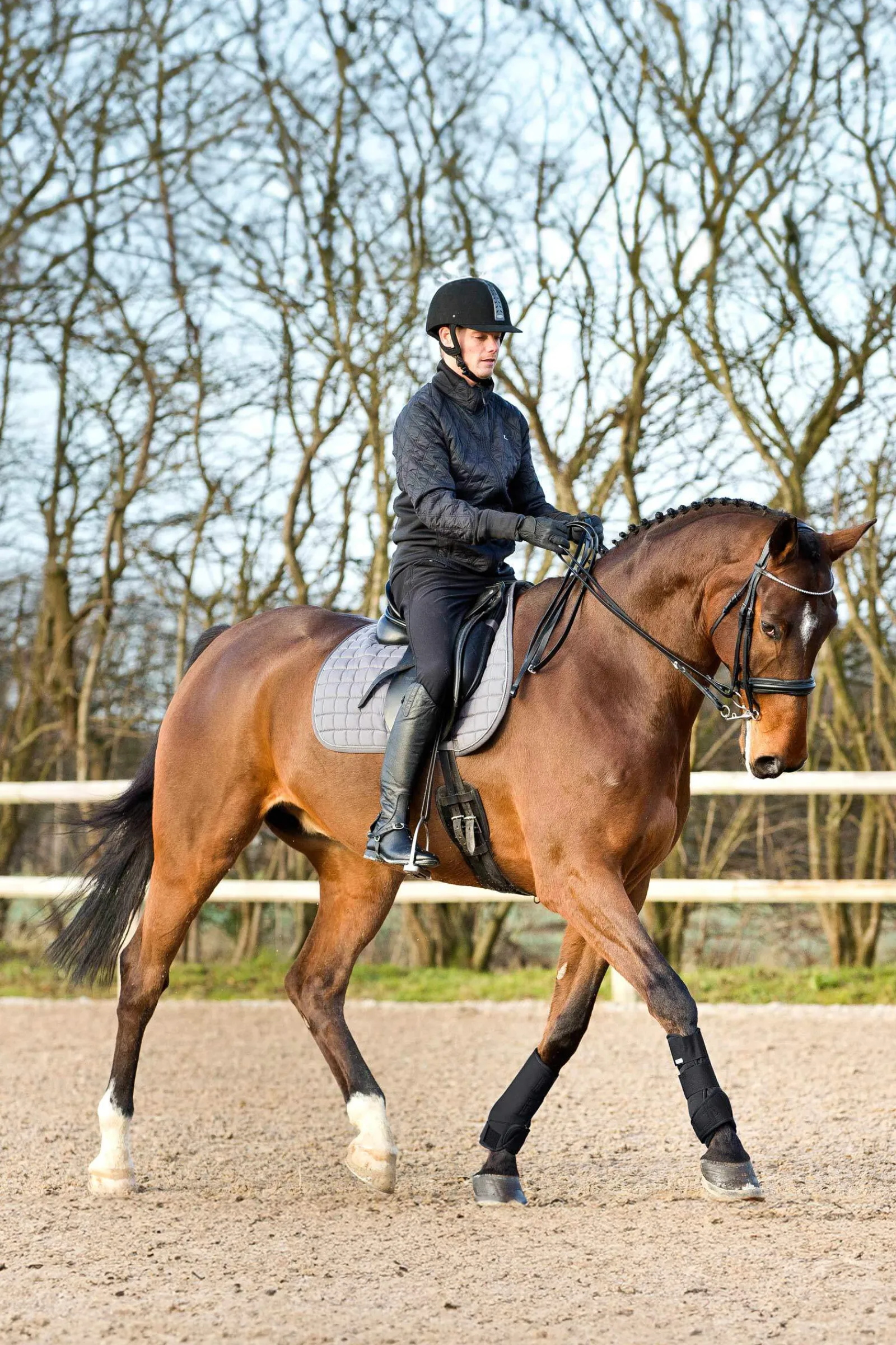 Online Brushing Boots Horse Boots