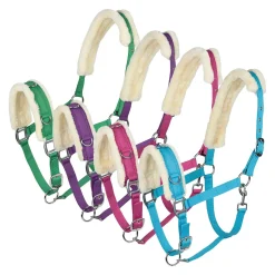 Hot Cavesson Lunging Cavessons|Lunging Cavessons