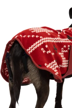 Clearance Christmas dog sweater Dog Rugs & Coats