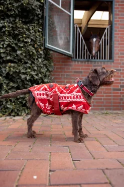 Clearance Christmas dog sweater Dog Rugs & Coats