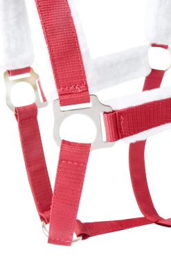 New Christmas halter Headcollars & Halters