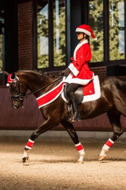 Online Christmas harness Breastplates