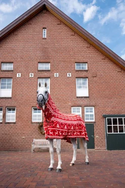 Online Christmas Horse Sweater Fleece Horse Rugs & Cooler Rugs