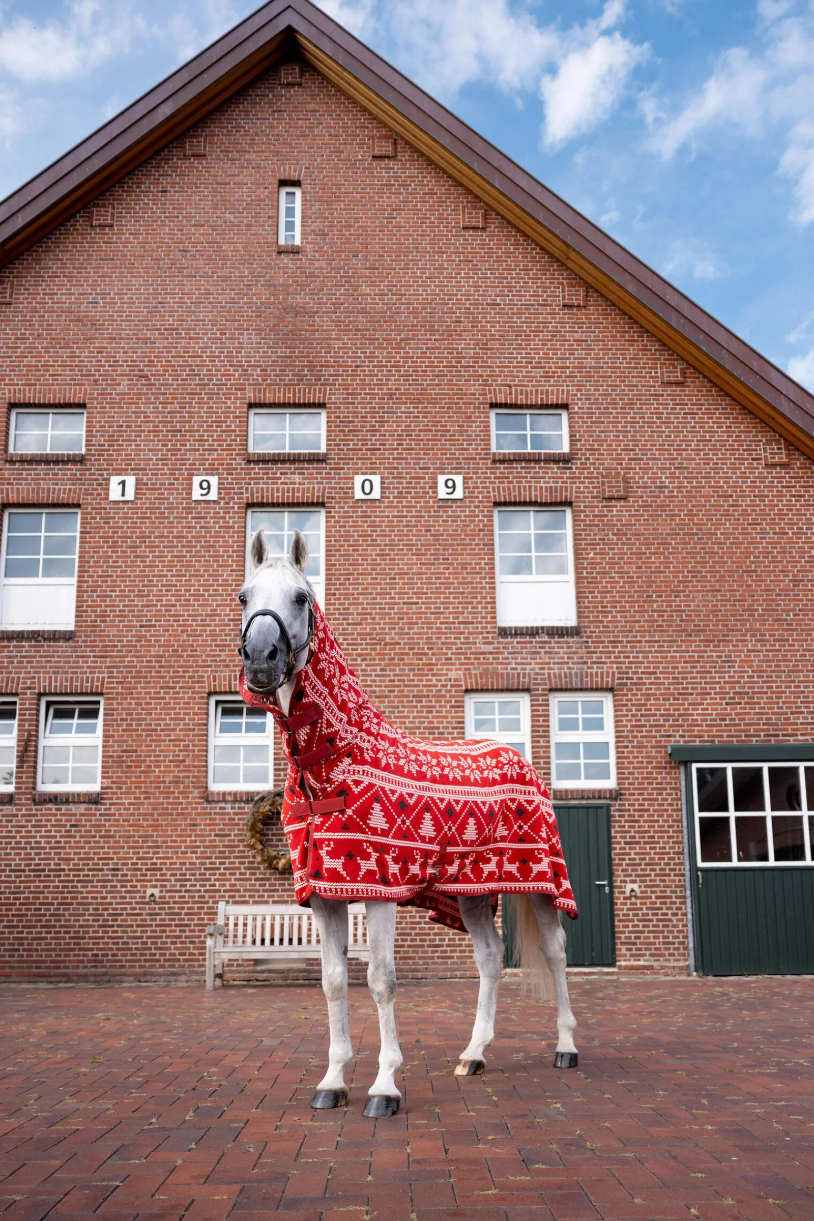 Online Christmas Horse Sweater Fleece Horse Rugs & Cooler Rugs