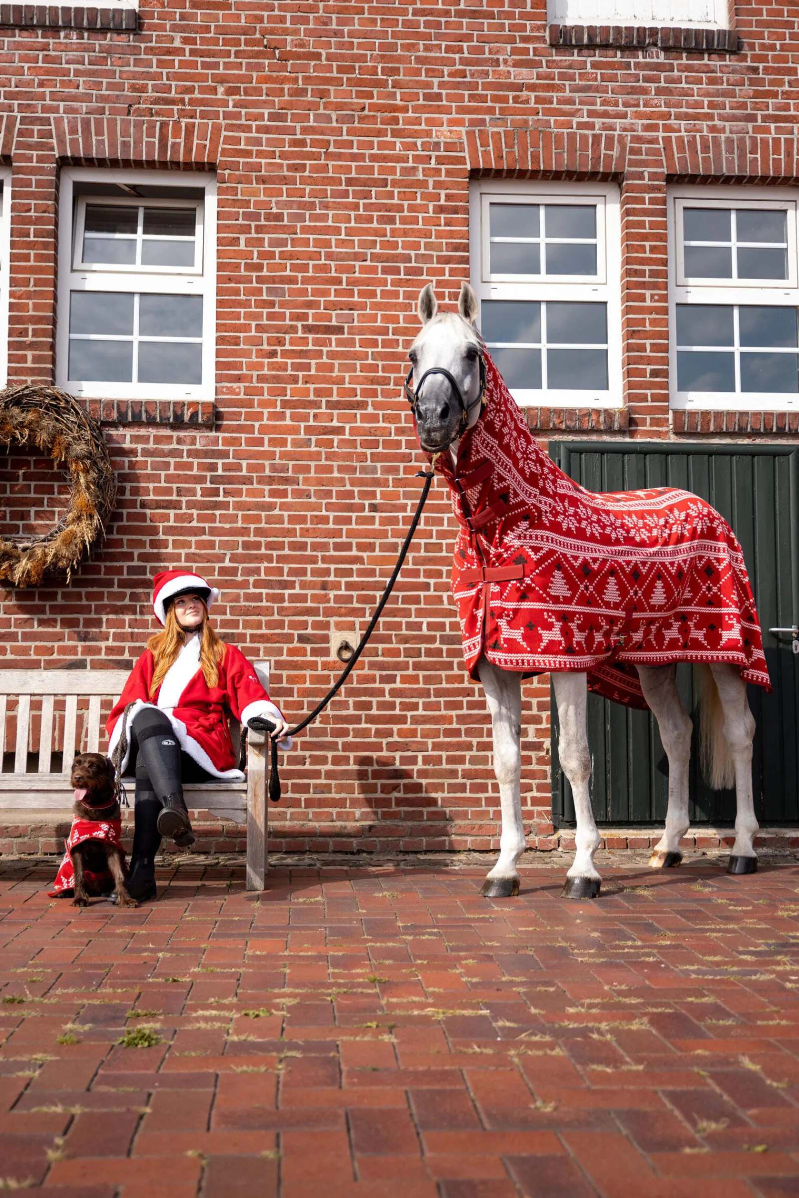 Online Christmas Horse Sweater Fleece Horse Rugs & Cooler Rugs