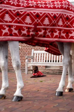 Online Christmas Horse Sweater Fleece Horse Rugs & Cooler Rugs