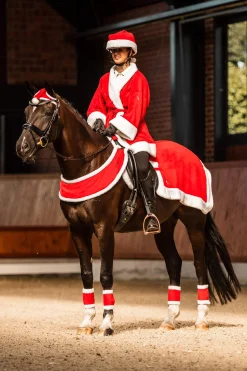 Online Christmas Riding rug Exercise Sheets & Quarter Sheets