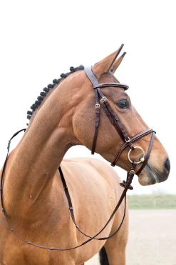 Fashion Constance Padded Flash Bridle Bridles & Nosebands