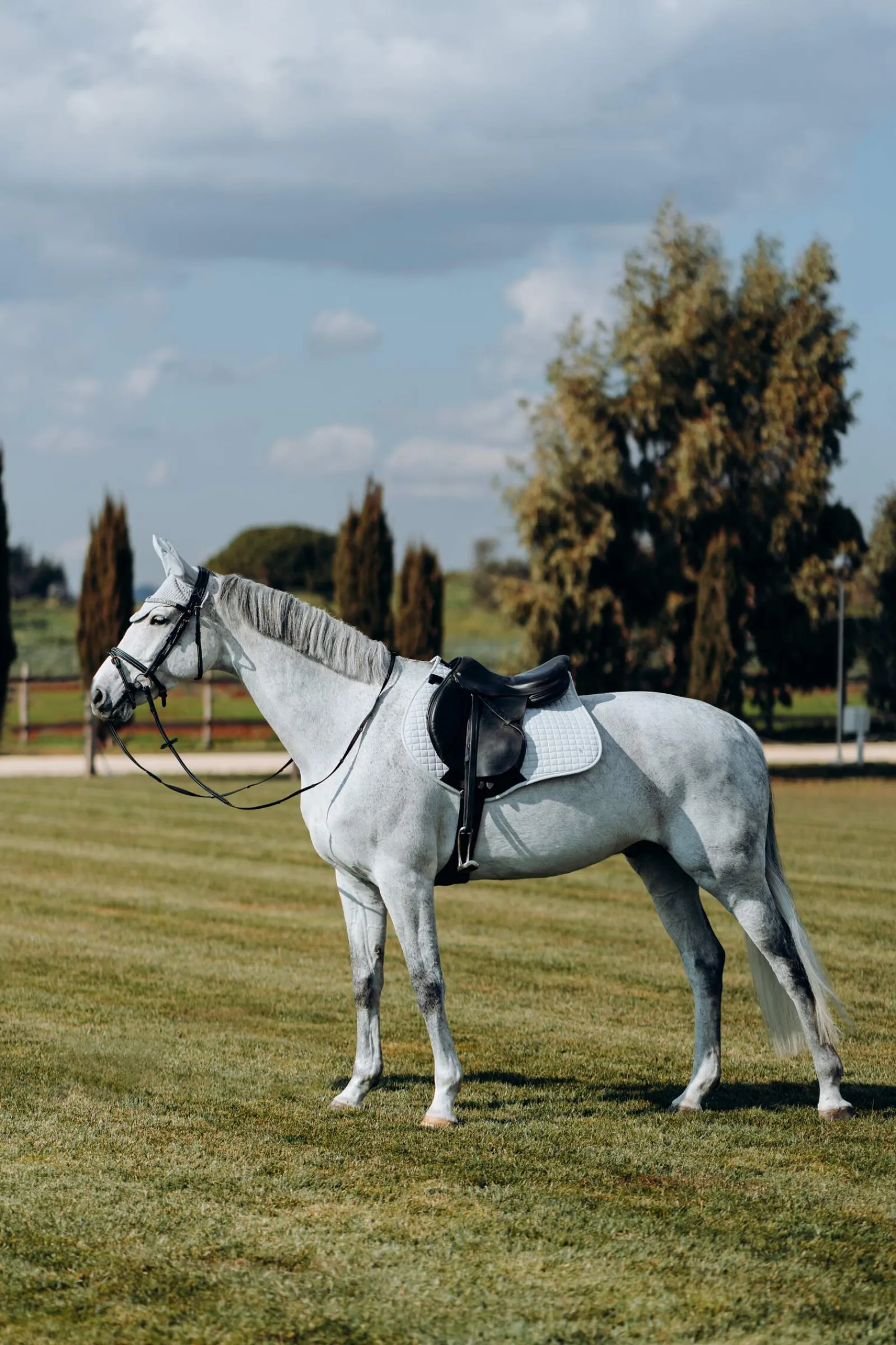 New Cooling All Purpose Saddle Pad Pony Saddle Pads|All Purpose & Jumping Saddle Pads