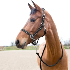 Outlet Cooper Halter and Lead Set Headcollars & Halters