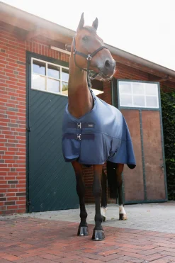 Outlet 840D Turnout Rug with Detach Neck, 200g Medium & Heavyweight Turnout Rugs