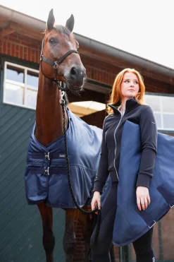 Outlet 840D Turnout Rug with Detach Neck, 200g Medium & Heavyweight Turnout Rugs