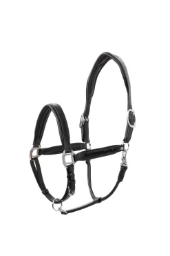 Hot Delémont Leather halter Headcollars & Halters