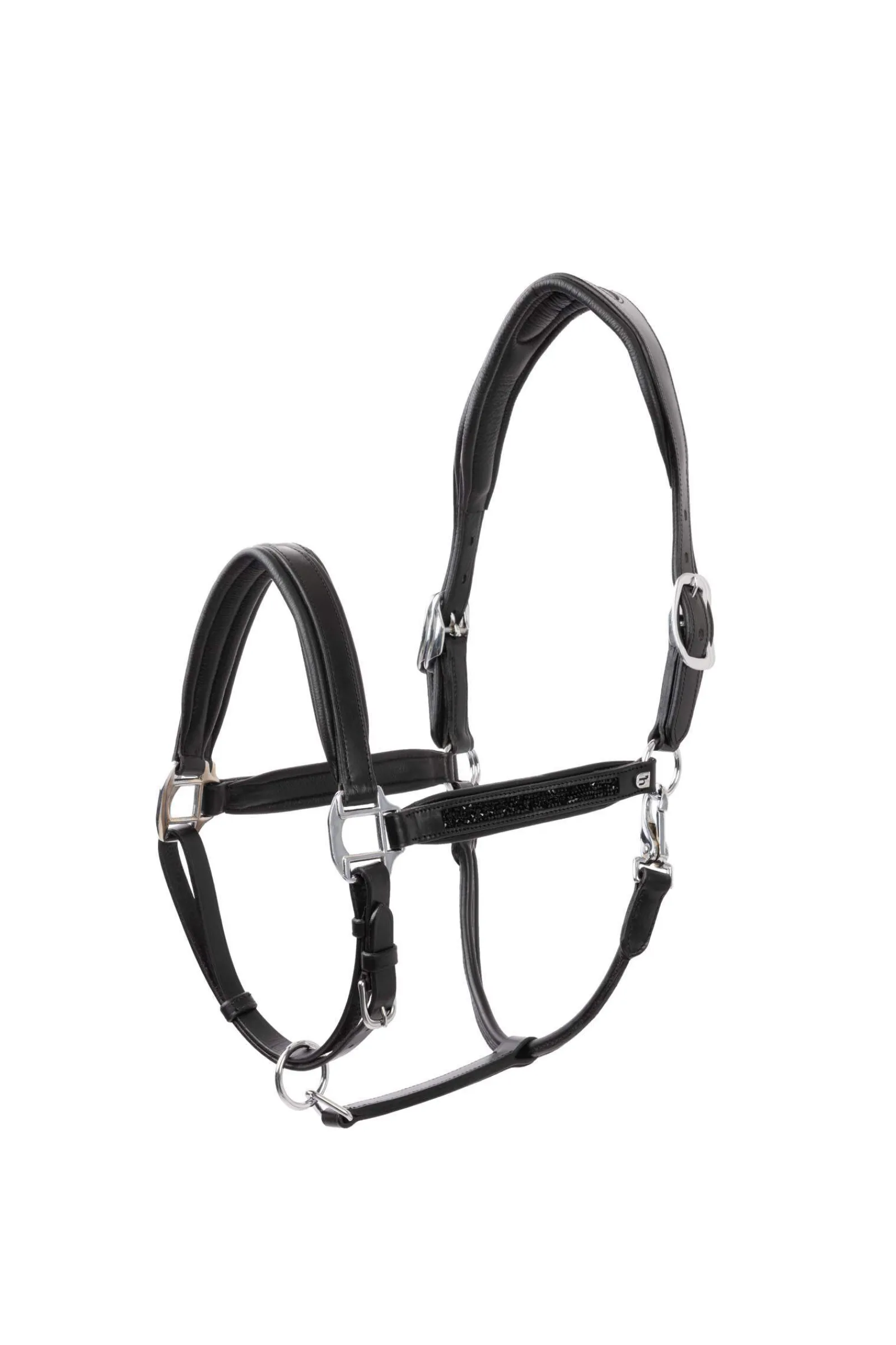Hot Delémont Leather halter Headcollars & Halters