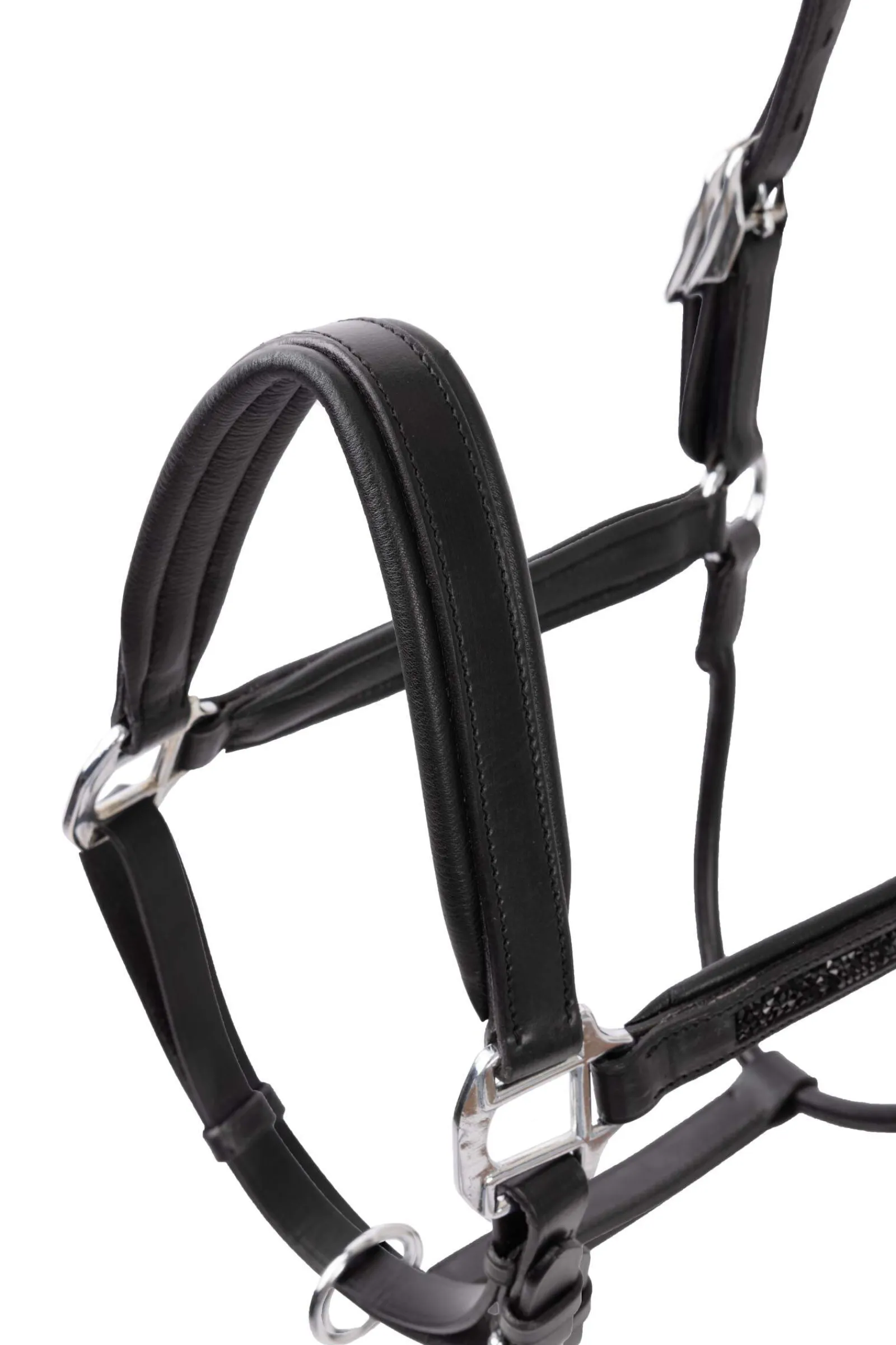 Hot Delémont Leather halter Headcollars & Halters