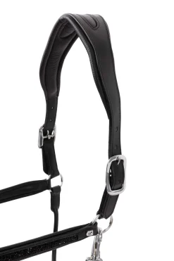 Hot Delémont Leather halter Headcollars & Halters