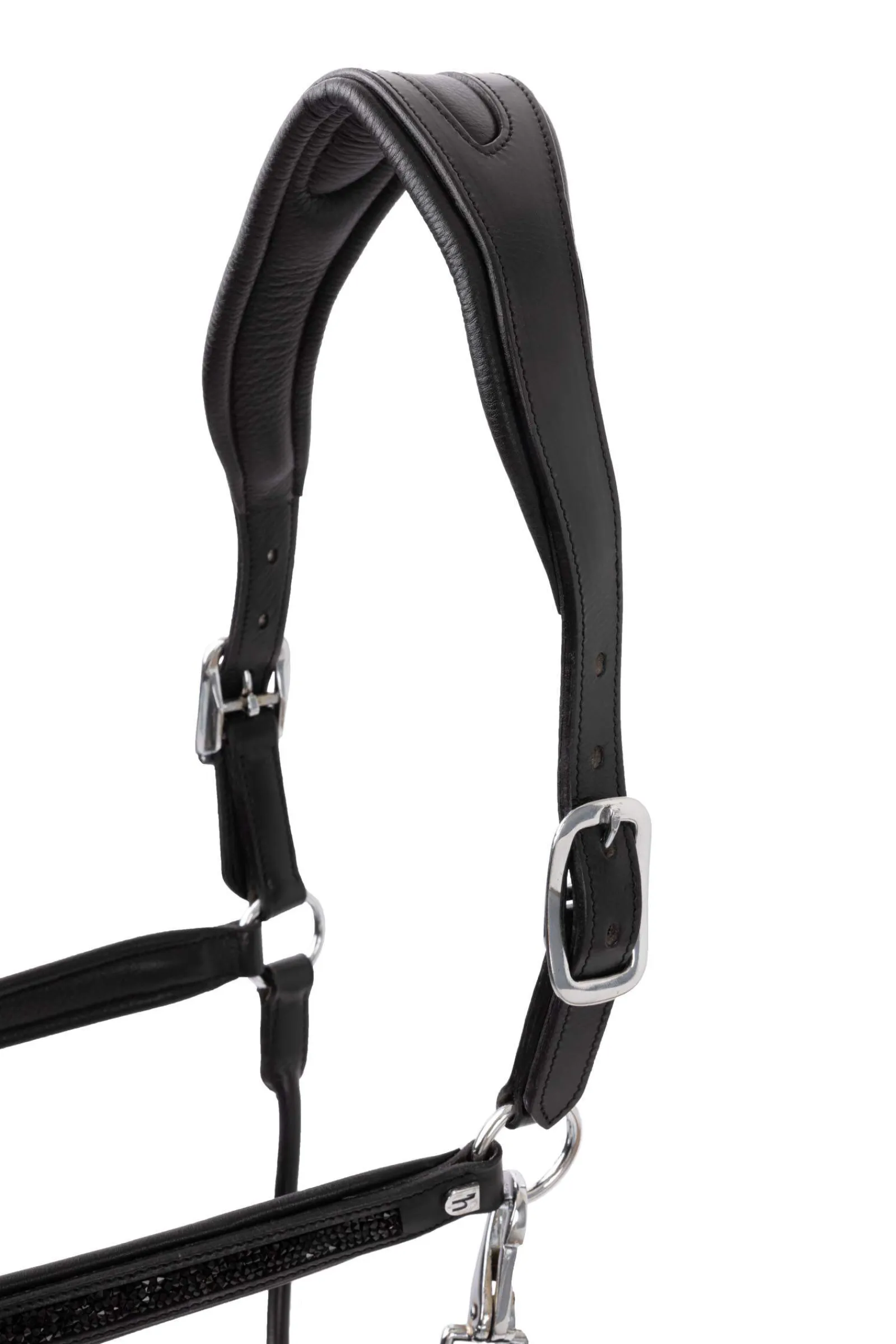 Hot Delémont Leather halter Headcollars & Halters